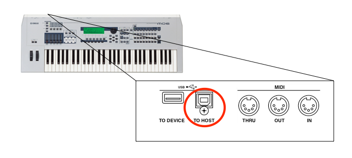 USB B和MIDI千斤顶的合成器