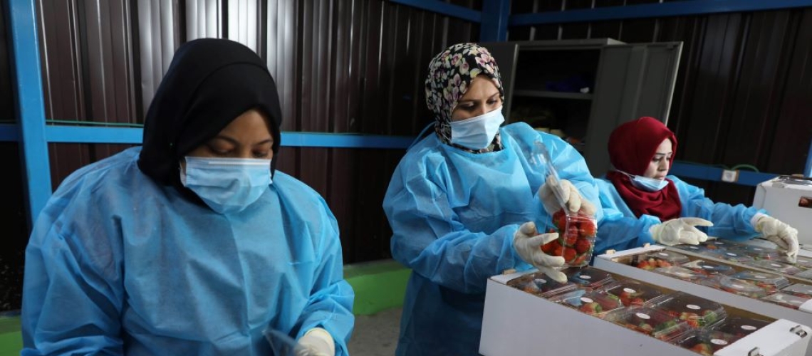 majdi_fathi -_jobs_women_working_at_a_factory_gaza_resize.jpg