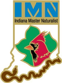 imn_logo.jpg