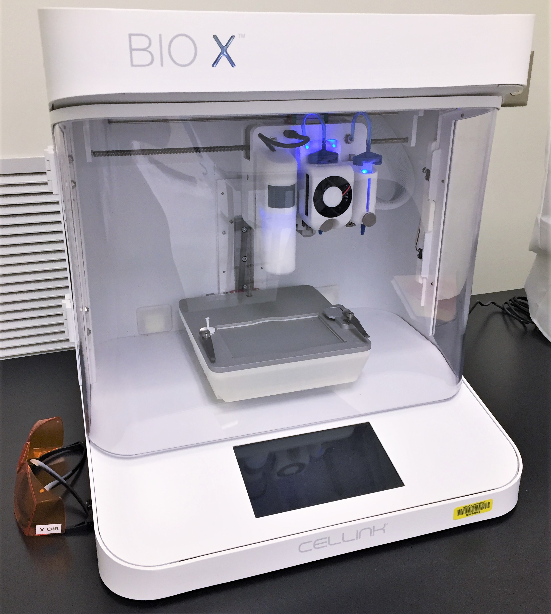 生物X