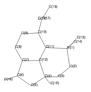 画线分子的形象