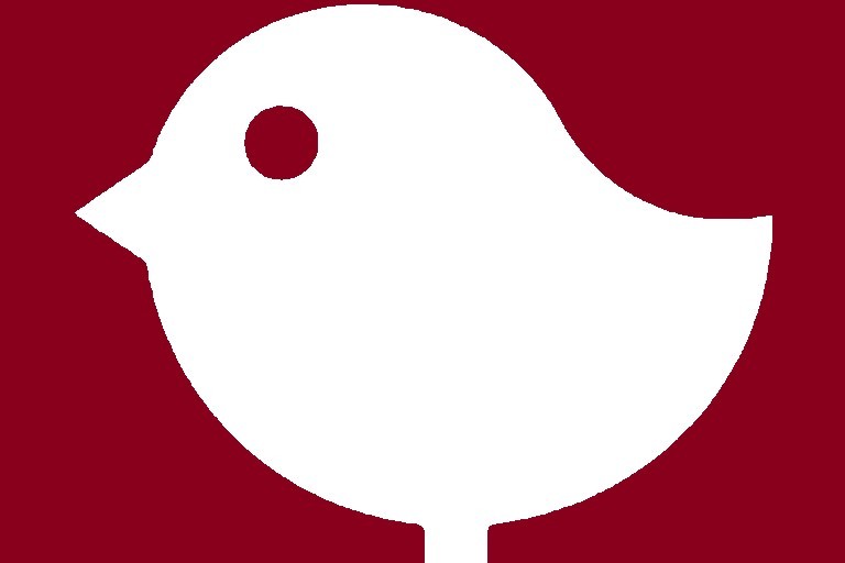 Bird.