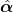{\ \帽子bm{\α}}