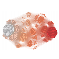 跟踪公众舆论对不支持的故事在2020年的总统选举中-波1报告