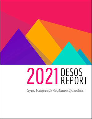 Desos 2021年报告封面。