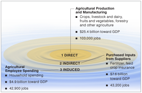 图1:印第安纳州农业的经济连锁反应